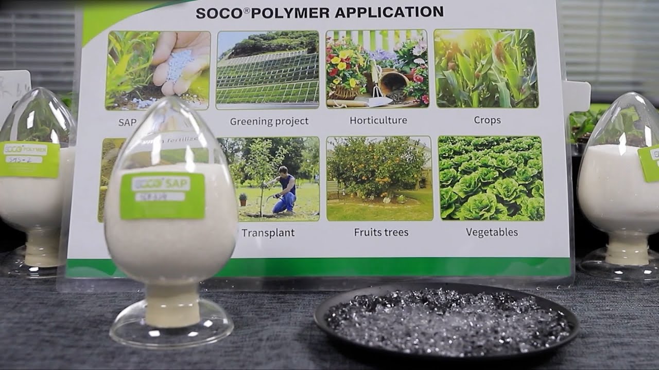 Soil Hydrogel VS Traditional Irrigation——Which can saves more water and is more efficient?