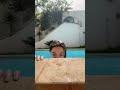نوميديا لزوال في البحر تعوم 