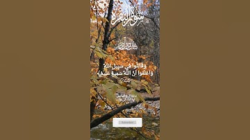 الآية ٢٤٣ و ٢٤٤ و ٢٤٥ من سورة البقرة صفحة ٣٩ ، الربع ٦ الم تر الى الذين خرجوا