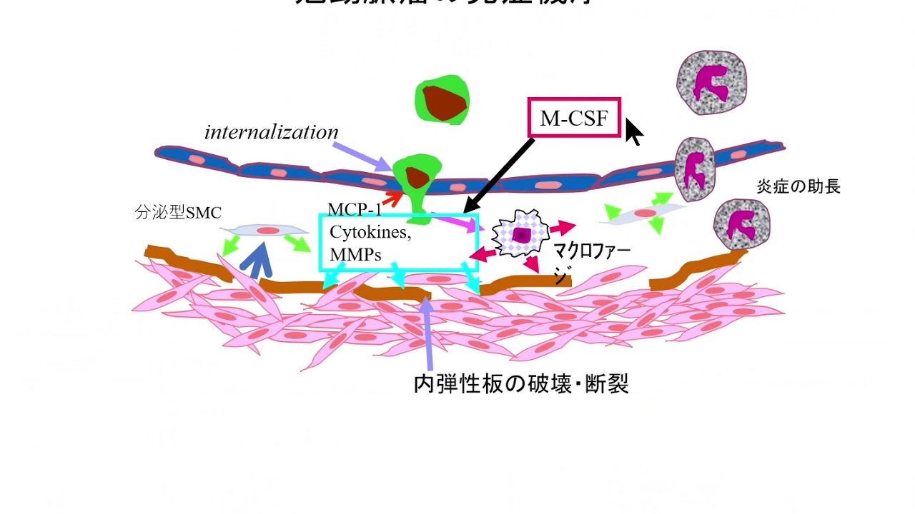 循環器症候群 Guidelines for the diagnosis and treatment of cardiovascular