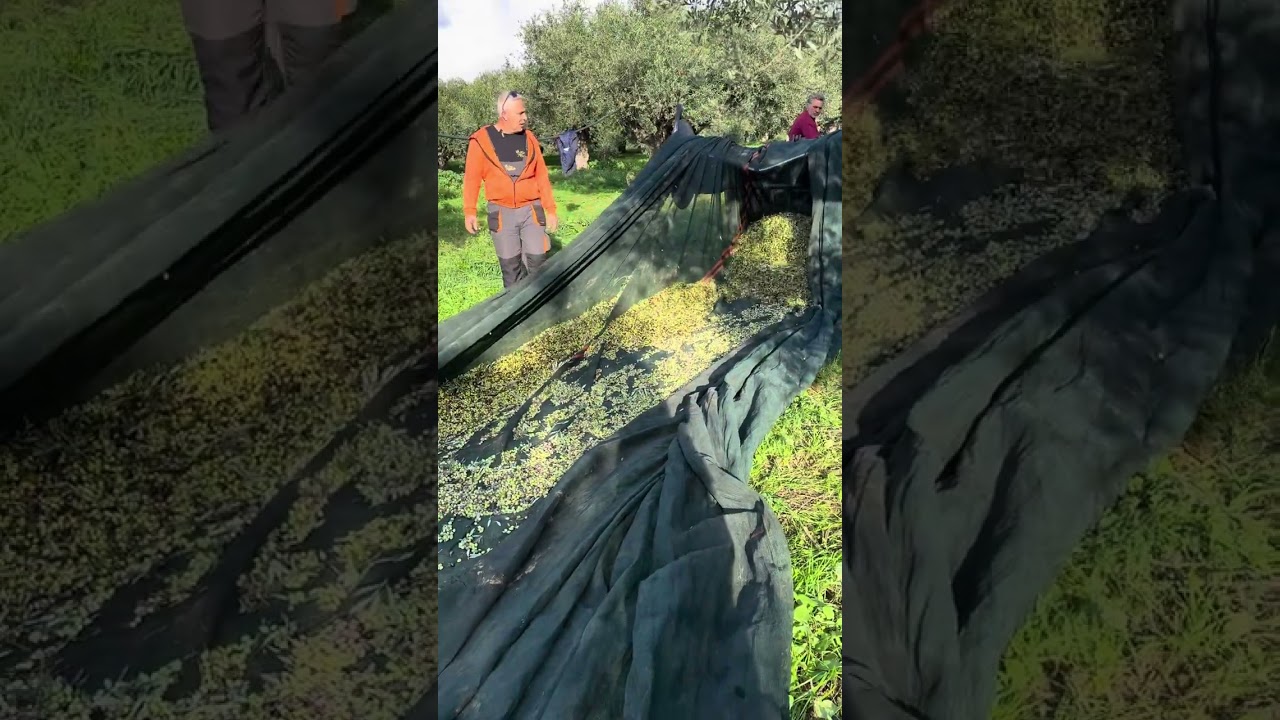 Πώς λειτουργεί η Ανεμη