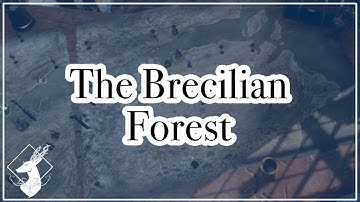 {Codex-DAO} The Brecilian Forest