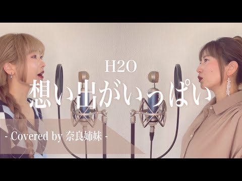 女性がハモって歌う 想い出がいっぱい H2O Covered By 奈良姉妹