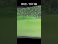 버디 가자 4  하이원