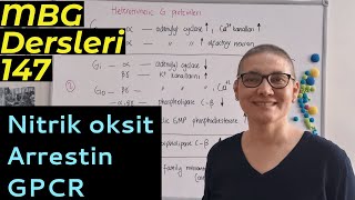 Nitrik oksit | GPCR | arrestin