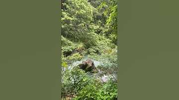 Vào hàng bác bó cao bằng thăm nơi bác hồ làm việc