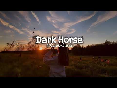 Katy Perry Dark Horse Speed Up Reverb 