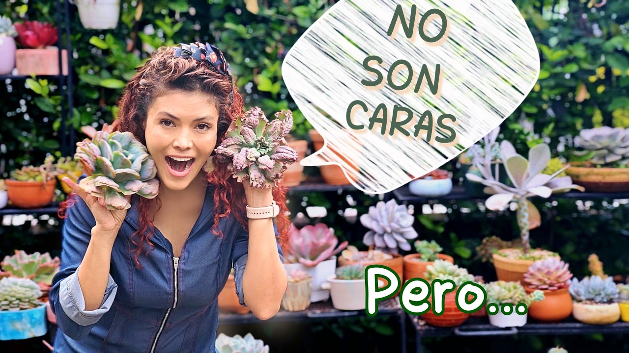 Son muy VALIOSAS!!! MI JARDÍN EMPIEZA OTRA VEZ 👩‍🌾😲🌿💚😮