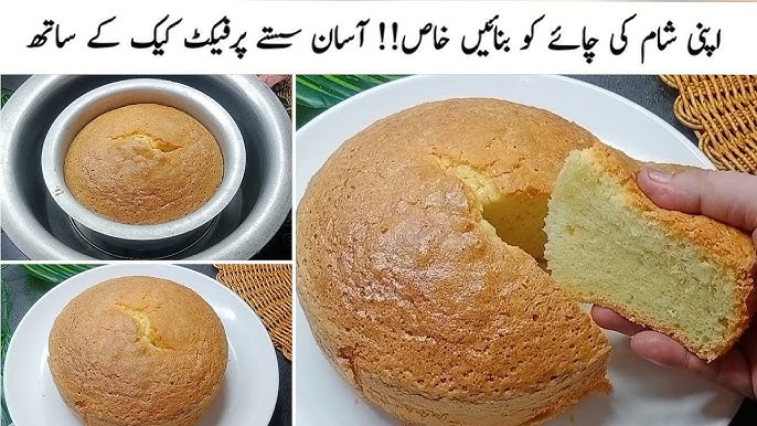 Juda tukli mushuklari bolgan keksa ayollar