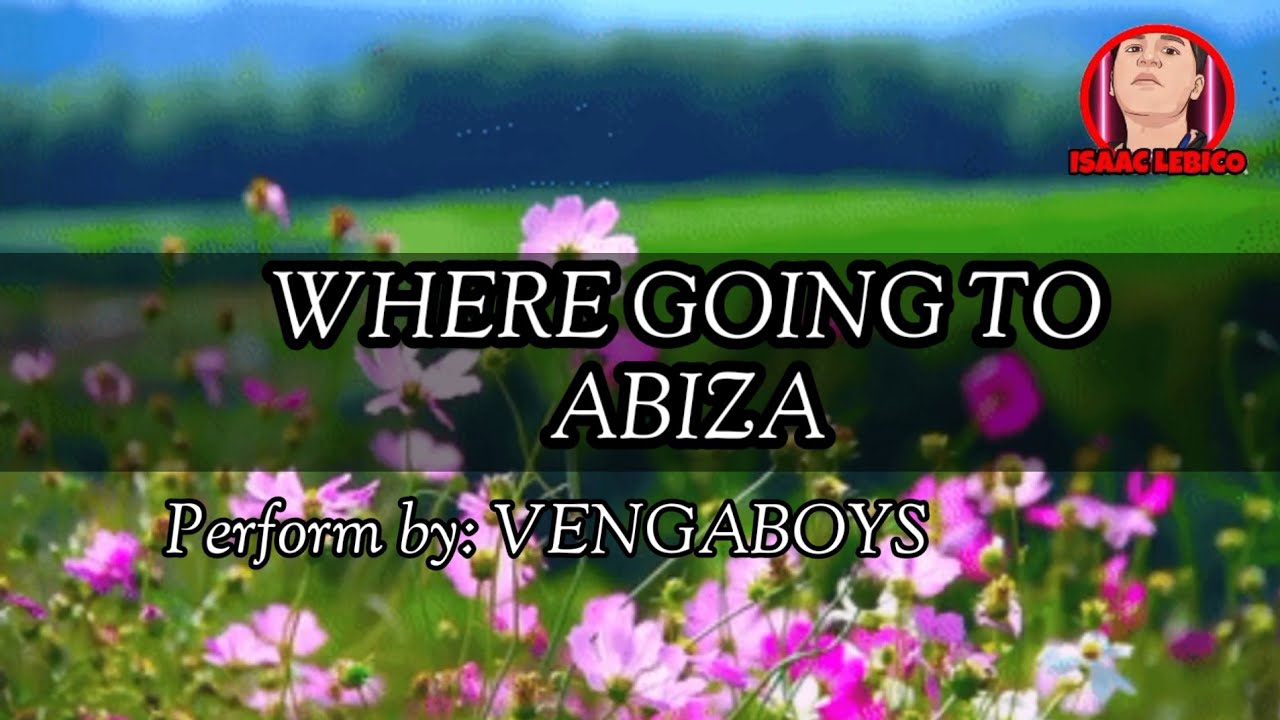 we are going to ibiza song
