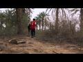 الفيلم في البيئة الريفية عبد الشط قريبا 