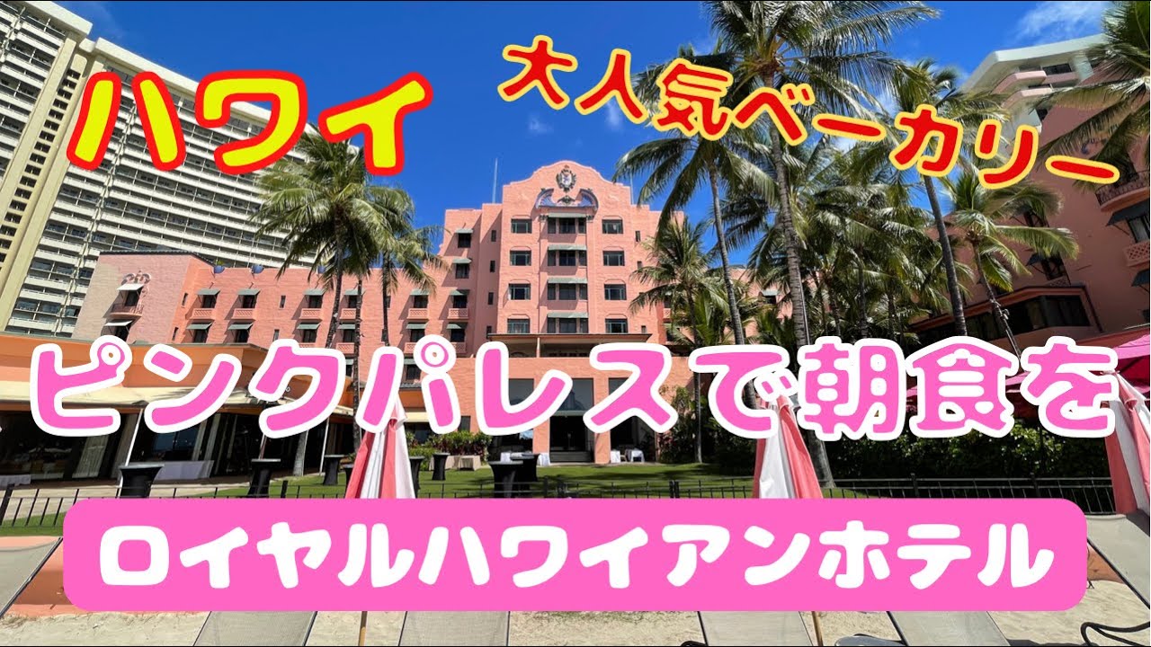 ハワイ 優美ピンクパレスでまったりタイム 落ち着くぅぅぅ きーちゃんすっかりくつろいじゃった ハワイ最高 Youtube ハワイ 優美ピンクパレスでまったりタイム 落ち着くぅぅぅ きーちゃんすっかりくつろいじゃった ハワイ最高 Youtube