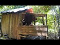 Building a Complete Log House - 18-Year-Old Single Mom Arranges Planks to Form a Roof