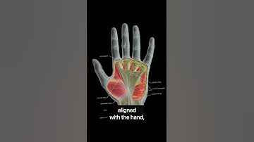 Right Mouse clicking as main