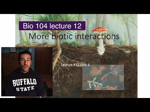 Bio 104 lecture 12