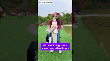 Bỏ 2 triệu một tiếng đi câu cá và cái kết bất ngờ #fishing #cauca #caucagiaitri #câucá