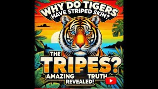Why Do Tigers Have Striped Skin? The Shocking Truth Revealed!