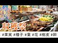 木を食に活かす！都市森林の収穫祭（都市森林プロジェクト）（都市林業）
