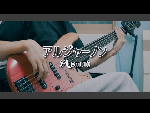 Algernon - Yorushika