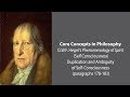 G.W.F. Hegel on Duplication and Ambiguity of Self-Consciousness - Philosophy Core Concepts