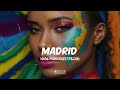 "MADRID" - Afrobeat Instrumental 2024 x Ayra Starr x Joeboy x Emotional x Afro Pop Type Beat