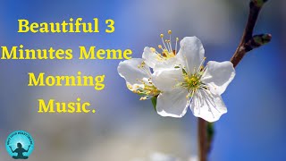 🔴 Beautiful 3 Minutes Meme Morning Music, Soft healing memes Music, Relaxing Music For Study screenshot 5