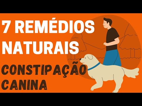 Vídeo: Constipação Canina: O Que Dar A Um Cão Constipado