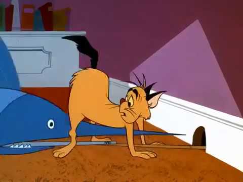 Tom and Jerry cartoon episode 151 - Catty Cornered 1966 - Funny animals cartoons for kids