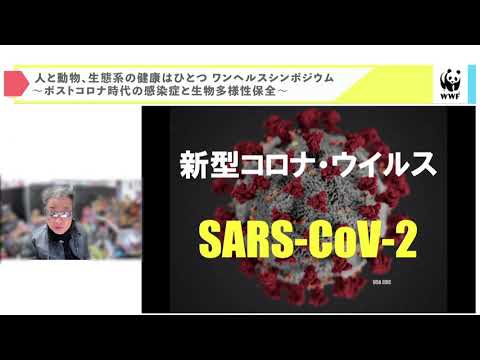 【WWF】人と動物、生態系の健康はひとつ　ワンヘルスシンポジウム（第二部　講演３）