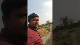 कुछ सामान लेकर गए थे #blogging #Orlando #funny #video
