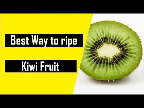 Video: Bagaimana Kiwi Dibawa Keluar