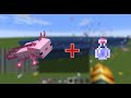 Minecraft Axolotls Can FLY!