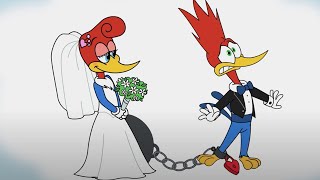 Woody is scared of marriage | Woody Woodpecker