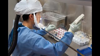Ivermectin in Mild COVID-19: Panoramic Evaluation of the Evidence