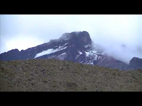 Video: Trawen: Călătorii în Parcul Național Viitorul Patagonia - Rețeaua Matador