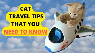 Cat Vaccination and Travel - The Most Important Tips by Purring Loaf 64 views 1 year ago 6 minutes, 14 seconds
