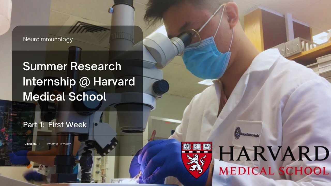 harvard medical research internship