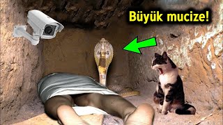 İsrailli Bilim Adamları Filistinli Bir Adamın Mezarına Bir Kamera Yerleştirdiler. Bakın Ne Buldular