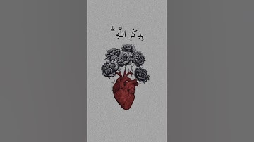 الذين آمنوا وتطمئن قلوبهم بذكر الله ألا بذكر الله تطمئن القلوب = سورة الرعد = #عبدالباسط_عبدالصمد