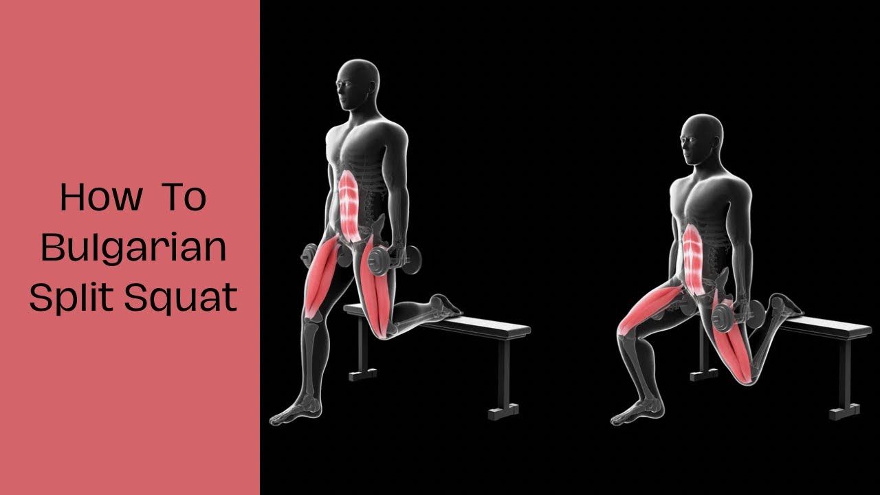 How To Bulgarian Split Squat : EASY GUIDE - YouTube