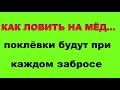 99% НЕ ЗНАЮТ о "БУТЕРБРОДАХ" ЭТОГО! Как ловить на ТВОРОГ, МЕД, ПЮРЕ, ПАШТЕТ, УКРОП… SeMano TV