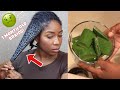 Taking Out my 1 MONTH OLD CORNROWS w/ ALOE VERA FOR MASSIVE HAIR GROWTH | DETANGLING NATURAL HAIR