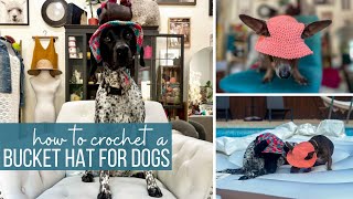 How to Crochet a Dog Bucket Hat