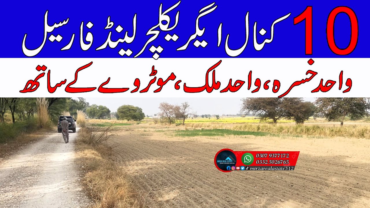 10 Kanal agricultural land for sale | Zari Raqba | District Chakwal | Mirza Real Estate#landforsale