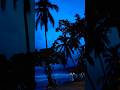 Tropical Sunset #musik #sunset #nature #ocean