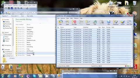 Sims 2 How To Install Custom Content