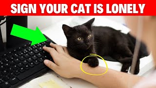 Signs Your Cat Is Lonely (#2 Many Ignore) by Geographic Animalz 871 views 4 months ago 2 minutes, 15 seconds