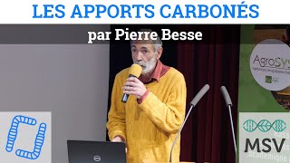 Les apports carbonés en MSV, avec Pierre Besse
