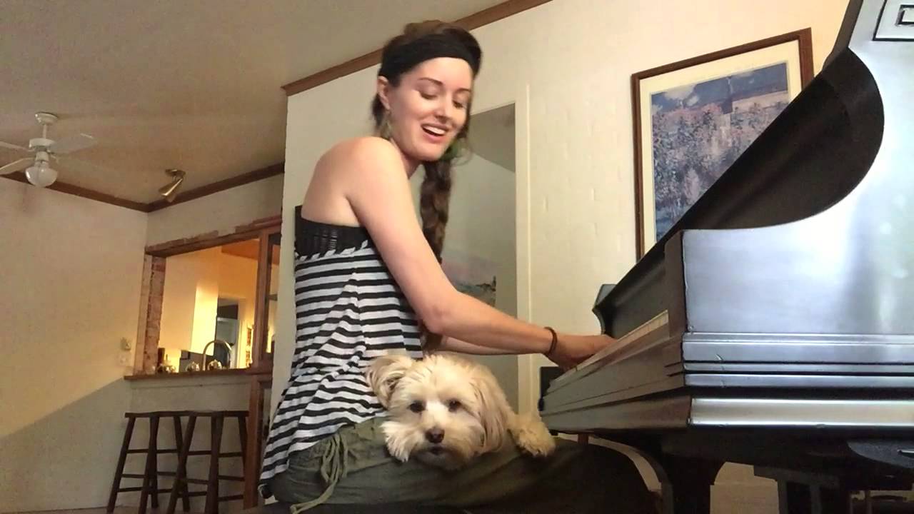 More singing with David the cockapoo - YouTube