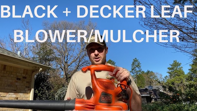 My Black + Decker Leaf Vacuum Trial – Kevin Lee Jacobs